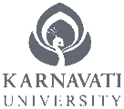 Karnavati University